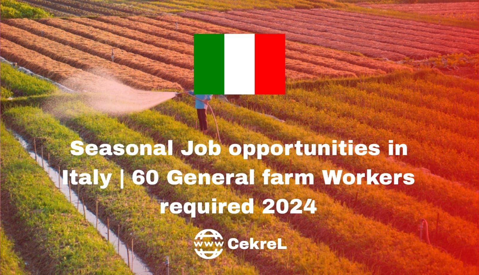 Seasonal job opportunities in Italy 2024 60 general farm workers required
